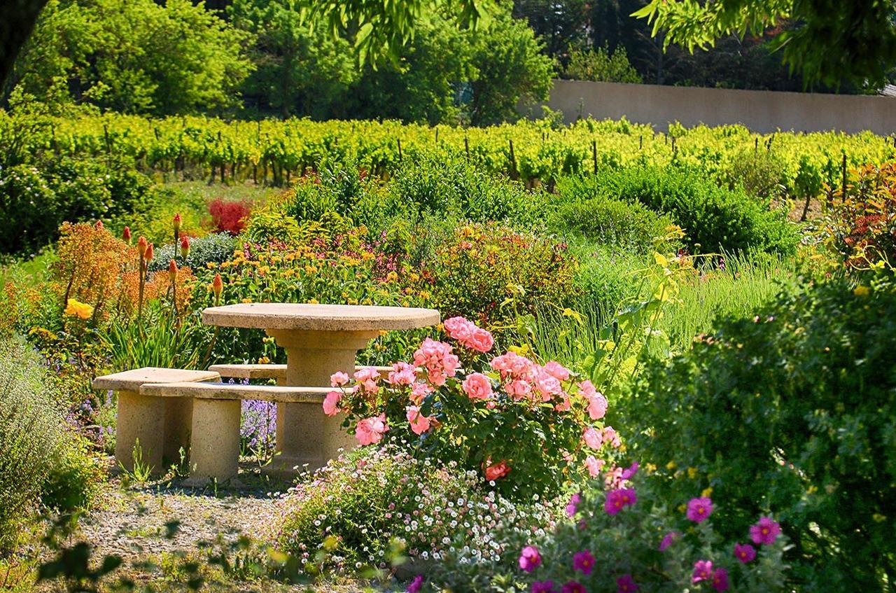 O'Vineyards B&B Carcassonne Villemoustaussou Exterior foto