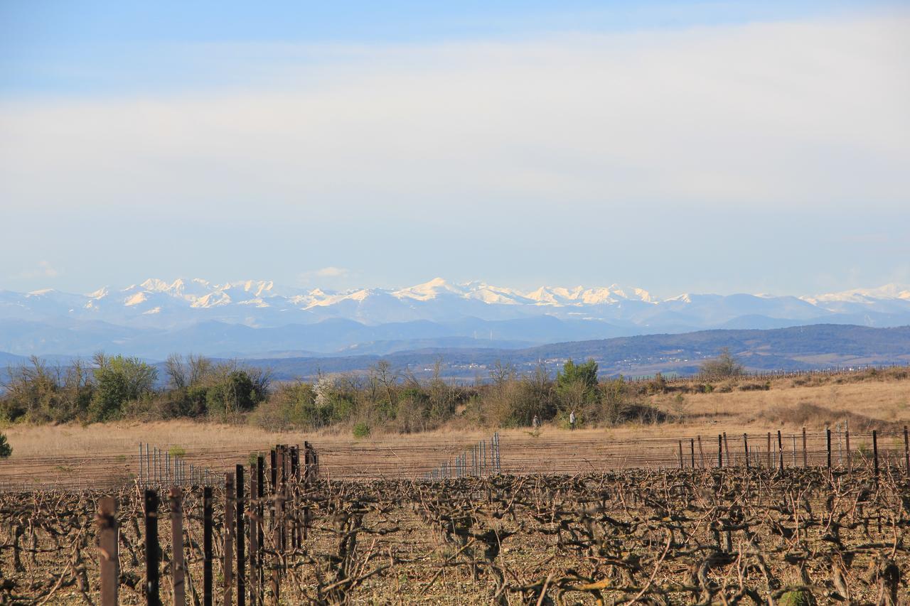 O'Vineyards B&B Carcassonne Villemoustaussou Exterior foto